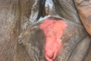 Ready for some Chocolate River... - Image 1