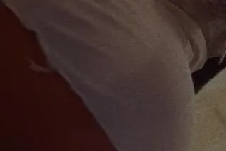 Jayda's In Town 💜🚗 A Gorgeous, High Class Companion INCALL ND OUTCALLS AVAILABLE 🏨 - Image 5