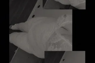 Cupcake – The Blue-Eyed Indulgence You’ll Never Forget - Image 8