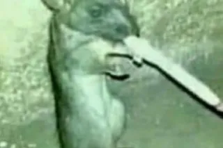 head only 🥀🫶🏼YO LIL KINKY BITCH🫶🏼 - Image 2