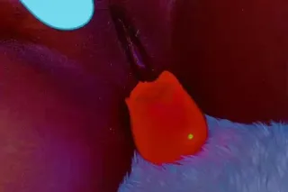 TIGHT WET 💦😻 And a 🍆 EATERRRR ... - Image 1