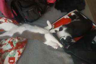 Welcome to the waterpark babyy... - Image 1