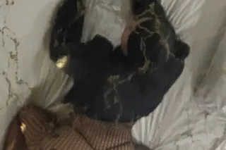 your Favorite Escape In Soft C... - Image 1