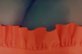 NEW NUMBER SAME JUICE BOX!! NOW DOING OUTCALL TO YU WIT DEPOSIT ONLY💪🏽COME STOP BY AN GET AH QUICK RELIEF 😮💪🏽NOW DOING OUTCALLS 😘WITH DEPOSIT!‍💨🥰CARFUN 23 AVE AN CAMELBACK🥳NIKKI KISSES - Image 5