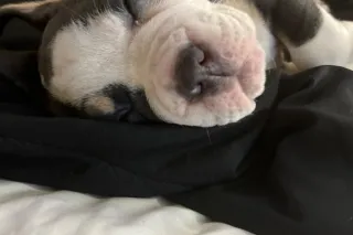 come see me before i leave tow... - Image 1