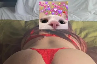 300 trio una hora, oral al nat... - Image 1