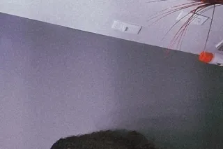 SPECIAL💕Don't miss out on a go... - Image 2