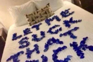 ⭐🌺#1 𝗩𝗜𝗣 𝐄𝐗𝐎𝐓𝐈𝐂 ᗷᗷᗯ🌺⭐𝐍𝐎𝐑𝐓𝐇 𝐃𝐀𝐋𝐋𝐀𝐒⭐ - Image 9