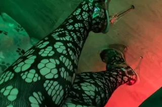 thirsty bunnies drink carrot juice - Image 7