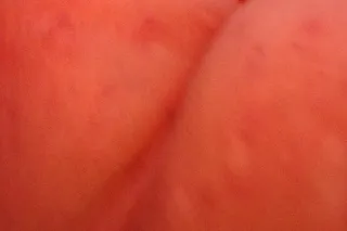 Bbw Pawg - 40 - Image 4