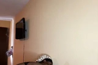 INCALL HEAD DOCOTOR ONLY qv70 hh120 hr180 - Image 5