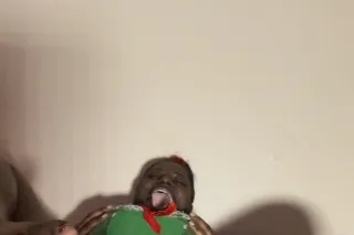 IM BACK IN TOWN - 18 - Image 1