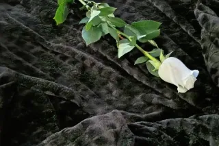 come see me - Image 5