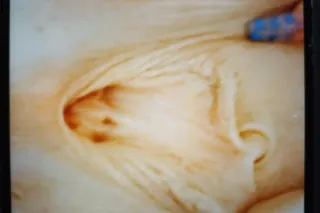 QV CARDATE SPECIAL - 42 - Image 2