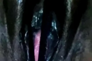 PLEASE HELP ME WITH CHRISMAS F... - Image 1