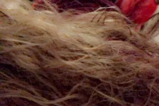 Mexicana 😈😋 - 26 - Image 3