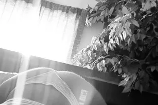 " I KNOW YOU LOVE A WATERY MOU... - Image 2