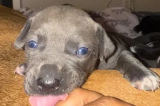 $40-10m $100-15m only rates. B... - Image 3