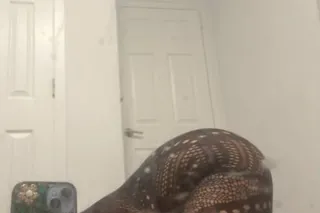 Big Booty Freak💦🤪LET ME PULL T... - Image 1