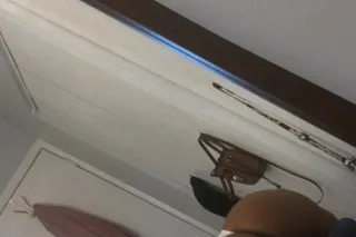 Dess With The Good Pussy - 25 - Image 1