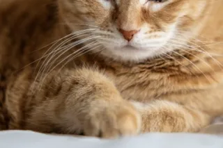 NO DEPOSIT 100%REAL !THE HEAD DR 😜BBJ👍call me👍😜😘👏🏽have - Image 7