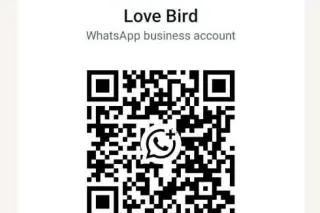 👉👉To get early reply text to my WhatsApp👉👉 31 42 19 55 67 - Image 5