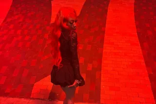 Meet A Distraction You Didn’t ... - Image 2