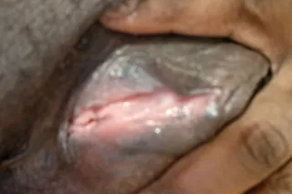 The Tropical Storm 💦🌴A Curvy Descent into Pure Lust🫦💦 - Image 7