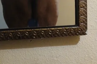 🌺💖WELCOME TO FELLAS💖🌺 - 28 - Image 3