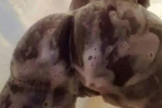 👑The Best Pu$$y Ever😻 New Discreet Location🥳 New Number💋 No AA under 35😻New N Town🐱2 pops 100 SpLz✨💨 70Qv Til 10pm🥳Last Few Hrs💯🤩Dont Contact unless 15mins away ✅👑King Treatment Only👑420💨 - Image 2