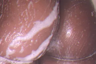 SLIMM SHORT PUSSY TIGHT AND WET!! GROWN MEN ONLY ! - Image 3