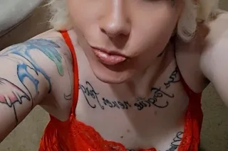 Sweet🍍🍒 Snowbunny 🐇Italian🇮🇹 Q... - Image 1