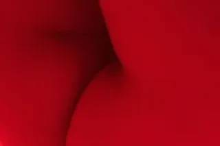 incall, cardate, and outcalls ... - Image 1