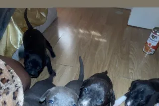 Come to mama 🌺 - Image 12