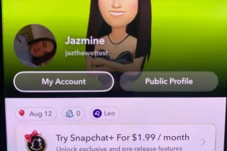 FROST IS VISITING TOWN COUPLE ... - Image 3