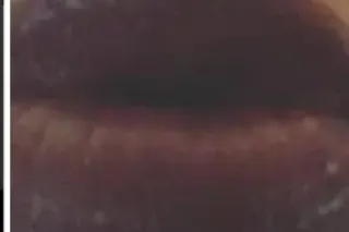 Southern Sweetheart Daisy - 40 - Image 4