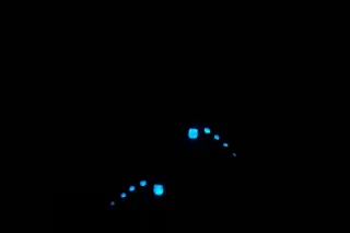 I can bring your fantasy to li... - Image 1