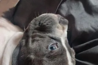 come n play im bored guys - 51 - Image 2