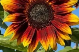 100 😡ADD ANOTHER ZERO.🥶😤 🛏🚶🏽♀ 💤 🤣 .🐐💋THUNDDER da EMPRESSS 👑 NeW NuMbER # NEW NUMBER - Image 5