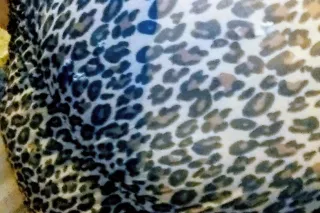 ruthless mouth 👄 - 34 - Image 4