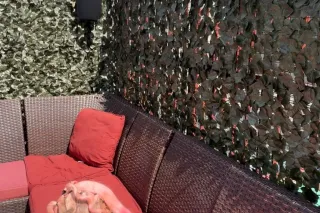 Specialss Until the 21st😍🍆🚿 - ... - Image 1