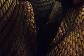 PAPi!...💕👅*SPCL🎉*💦*MoJaDo!🎉💕*•..SEXy🎀SWeeT🍭JUiCY•💦4U🍒🎉• - Image 7