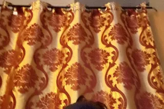 NO DEPOSIT 100%REAL !THE HEAD DR 😜BBJ👍 - Image 9