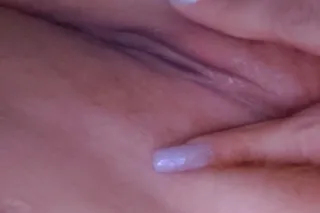 🐇🐇 black white and cuban bunny... - Image 1