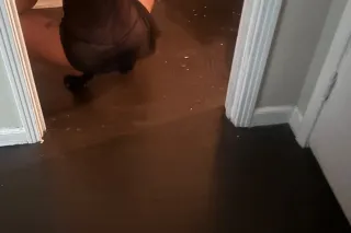 BEST PUSSY 💦❤ - Image 5