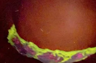 Chinnaa 💋💦 - Image 6