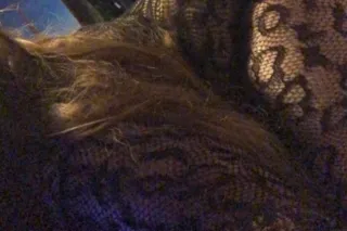 Sweetness inside & out - 32 - Image 1