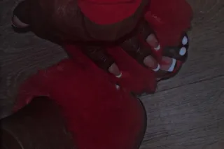 🏎Credit Cards Acceptable🏎 - 26 - Image 3