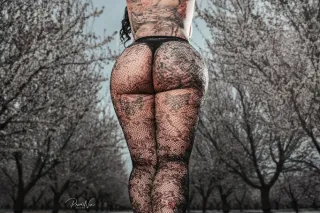 modesto Incall QV Spcl 150 HIG... - Image 4