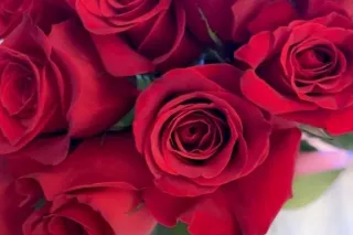 ELITE COMPANION 🌸miss me  xo Petite 💦💧Spinner 🎀🍭 - Image 7